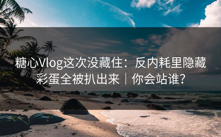 糖心Vlog这次没藏住：反内耗里隐藏彩蛋全被扒出来｜你会站谁？