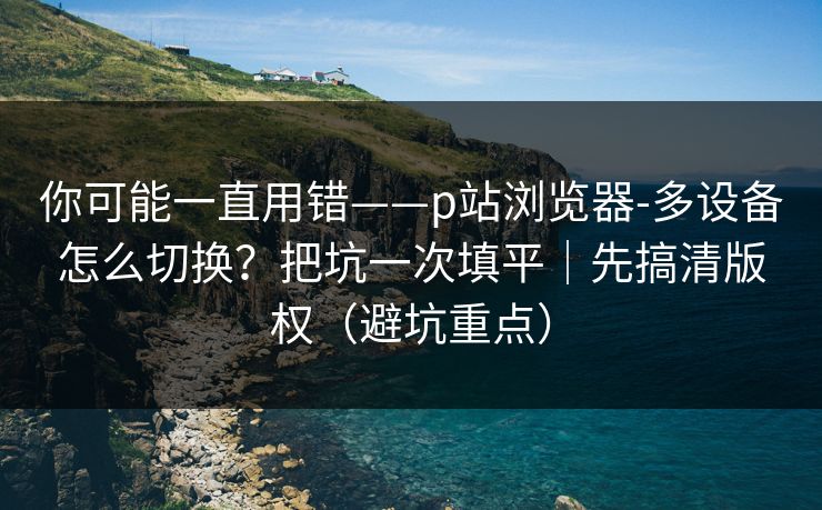 你可能一直用错——p站浏览器-多设备怎么切换?把坑一次填平|先搞清版权(避坑重点)