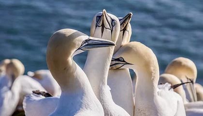 醉汉拆墙记:派出所有面墙,挡不住生活这场狂欢