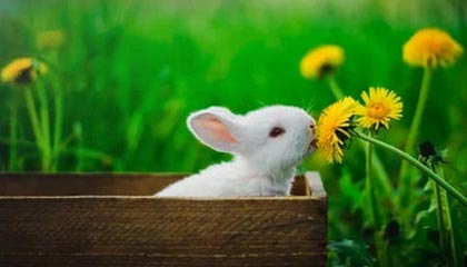 特种兵猛撞H花液H深:探索极限体能背后的神秘能量之源