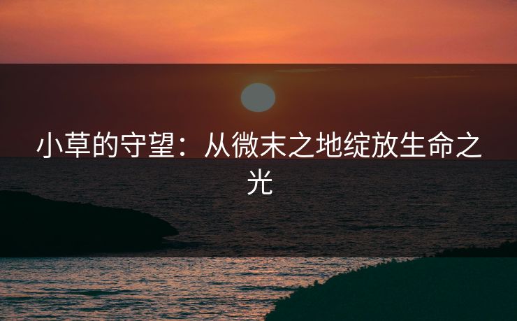 小草的守望：从微末之地绽放生命之光
