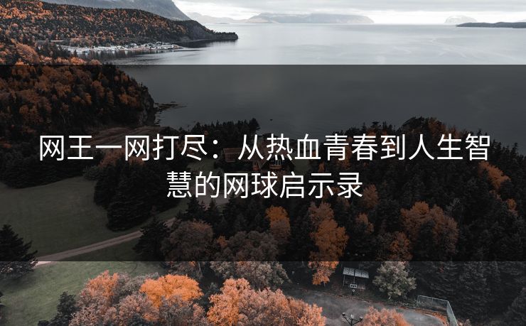 网王一网打尽：从热血青春到人生智慧的网球启示录