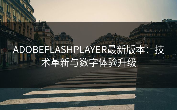 ADOBEFLASHPLAYER最新版本：技术革新与数字体验升级