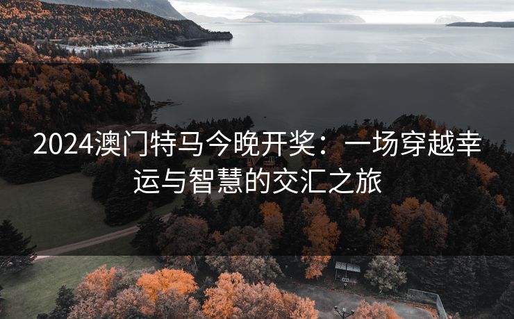 2024澳门特马今晚开奖：一场穿越幸运与智慧的交汇之旅