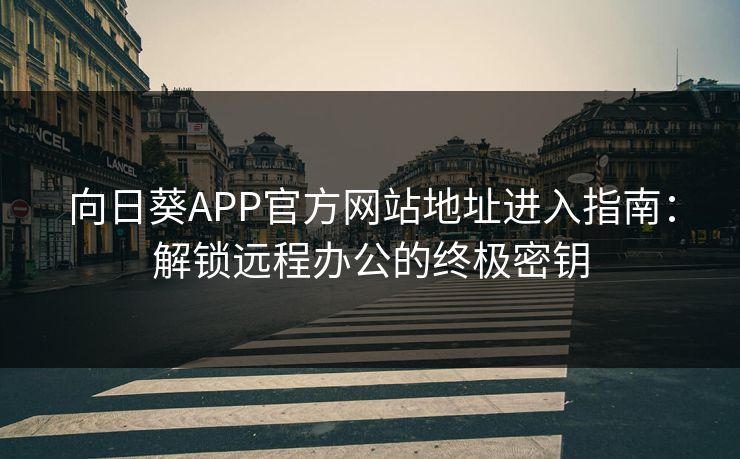 向日葵APP官方网站地址进入指南：解锁远程办公的终极密钥