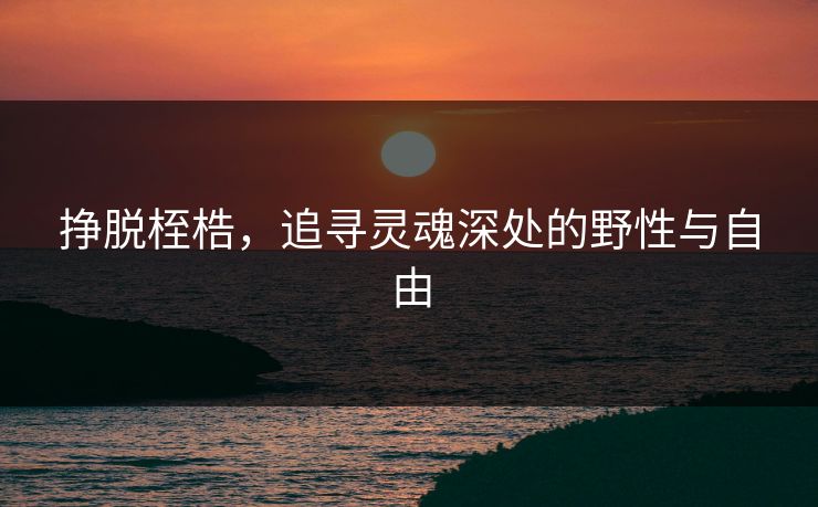 挣脱桎梏，追寻灵魂深处的野性与自由