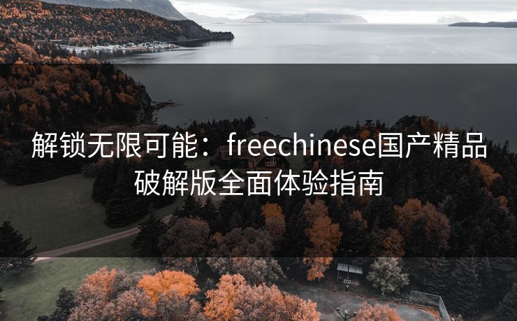 解锁无限可能：freechinese国产精品破解版全面体验指南
