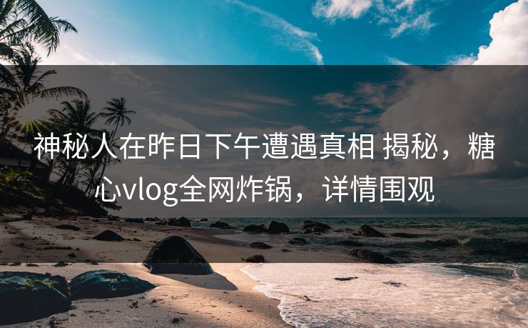 神秘人在昨日下午遭遇真相 揭秘，糖心vlog全网炸锅，详情围观